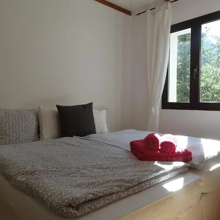 Zott Vergeletto
